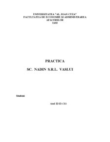 Practică SC Nadin SRL Vaslui - Pagina 1