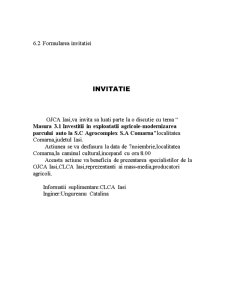 Structura organizatorică a serviciului de consultanță în Iași - Pagina 4