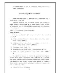 Studiu practic privind constituirea fondului de rezervă legală - Pagina 5