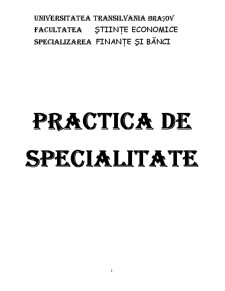 Practică de specialitate - SC Schaeffler România SRL - Pagina 1