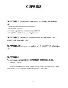 Practică de specialitate - SC Schaeffler România SRL - Pagina 2