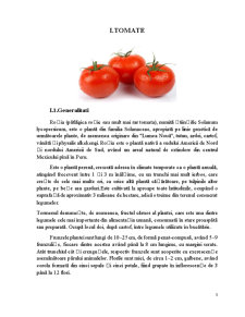 Caracterizarea fitochimică și etnobotanică - tomate și salvie - posibilități de utilizare în industria cosmetică, farmaceutică și alimentară - Pagina 3