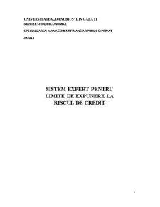 Sistem Expert pentru Limite de Expunere la Riscul de Credit - Pagina 1