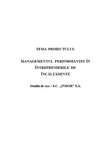 Managementul Performanței în Întreprinderile de Încălțăminte - Pagina 1