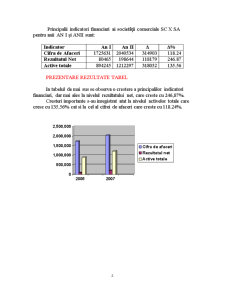 Analiza economico-financiară a SC X SRL - Pagina 2