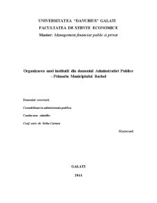 Organizarea unei instituții din domeniul administrației publice - Primăria Municipiului Bârlad - Pagina 1