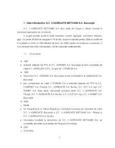Analiza situației financiar-economice a activității societății comerciale X Agregate Betoane SA București în perioada 2007-2009 - Pagina 3