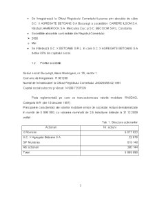 Analiza situației financiar-economice a activității societății comerciale X Agregate Betoane SA București în perioada 2007-2009 - Pagina 4