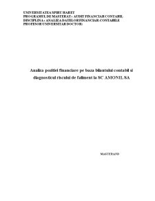 Analiza poziției financiare pe baza bilanțului contabil și diagnosticul riscului de faliment la SC Amonil SA - Pagina 1