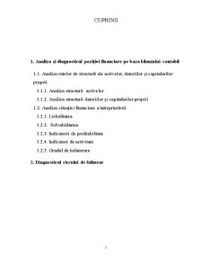 Analiza poziției financiare pe baza bilanțului contabil și diagnosticul riscului de faliment la SC Amonil SA - Pagina 2