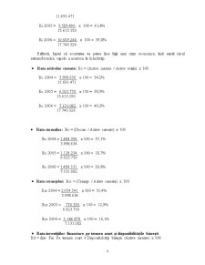 Analiza poziției financiare pe baza bilanțului contabil și diagnosticul riscului de faliment la SC Amonil SA - Pagina 4
