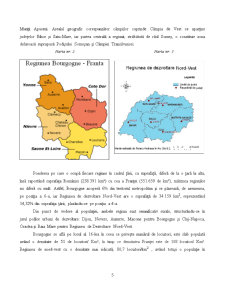 Analiza comparativă între regiunea nord vest și Burgundia - Pagina 5