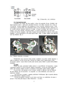Microrobot LAMAlice - Pagina 4