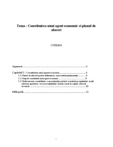 Constituirea unui Agent Economic și Planul de Afaceri - Pagina 1