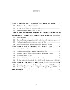 Analiza indicatorilor specifici la Casa de Ajutor Reciproc Corsar - Pagina 2