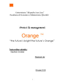 Orange - prezentarea și organizarea managerială - Pagina 1