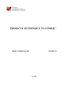 Proiecte economice în comerț la firma SC Tastcenter SRL - Pagina 1