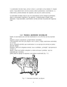 Abordarea și contenția animalelor - Pagina 4