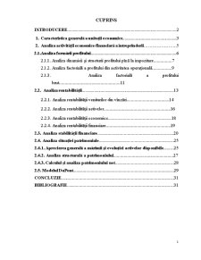 Analiza economico-financiară a unei întreprinderi - SC Lidersport SRL - Pagina 1