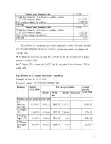 Audit Financiar - Formular de Control Furnizori-Creditori - Pagina 3
