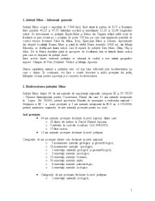 Analiza SWOT - analiza potențialului natural al Județului Bihor - Pagina 2