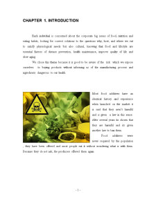 Proiect studiul mărfurilor - aditivii alimentari din condimente - Pagina 2