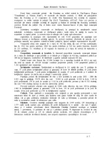 Analiza Bugetului Local Cluj-Napoca - Pagina 2