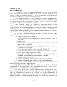 Contractul Individual de Munca - Pagina 5