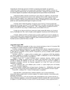 Referat piața asigurărilor din România - Pagina 4
