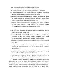 Evoluția Sectorului IMM în România în Perioada 2005-2009 - Pagina 3