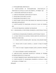 Organizarea și conducerea gestiunii financiare la Spitalul Clinic de Urgentă Sfânta Treime Iași - Pagina 3