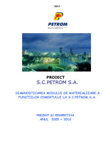 Diagnosticarea modului de materializare a funcțiilor comerțului la SC Petrom SA - Pagina 2