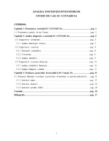 Analiza eficienței investitiilor. Studiu de caz - SC Cotnari SA - Pagina 1