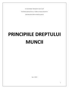 Principiile Dreptului Muncii - Pagina 1