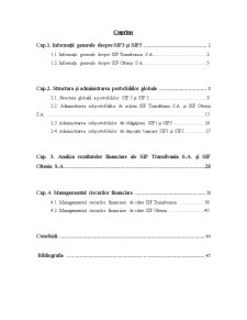 Analiza SIF 3 și SIF 5 - Pagina 1