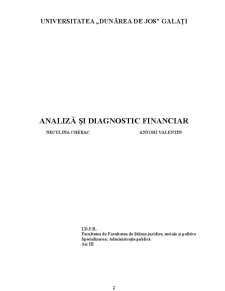 Analiză și Diagnostic Financiar - Pagina 2