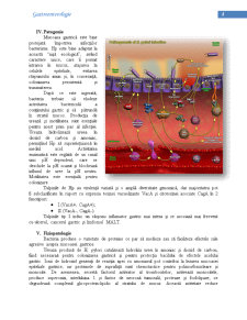 Helicobacter Pylori - Pagina 5