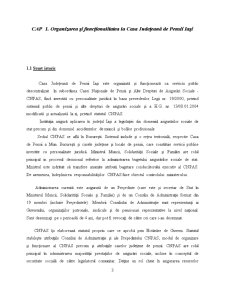 Fundamentarea și Finanțarea Cheltuielilor Publice în Cadrul Casei Județene de Pensii Iași - Pagina 3