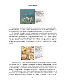 Crustaceele - Pagina 1