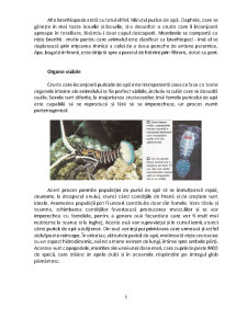 Crustaceele - Pagina 5