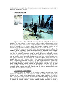 Regiunile Polare - Pagina 5