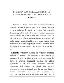Eficiența economică a culturii de porumb boabe de consum în Județul Vaslui - Pagina 1