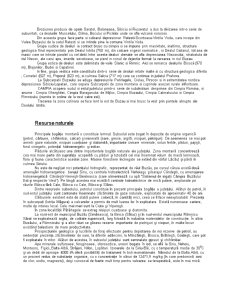 Analiza județelor Buzău și Brașov privind stabilirea decalajului regional - Pagina 5