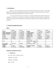 Analiza financiară a întreprinderii SC Mefin SA - Pagina 3