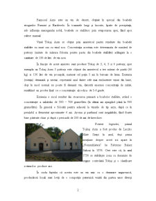 Vinurile din Regiunea Tokaj - Pagina 2