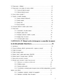 Evaluarea Măsurilor Active la Nivelul Județului Hunedoara în Perioada 2008-2010 - Pagina 3