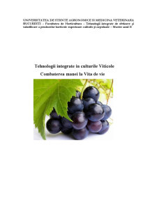 Tehnologii integrate în viticultură - Pagina 1