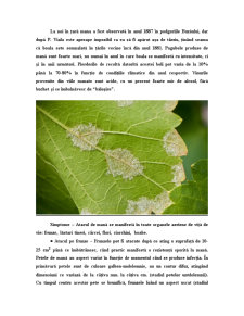 Tehnologii integrate în viticultură - Pagina 2