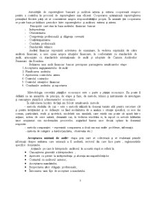 Misiune de Audit Statutar asupra Situatiilor Financiare Anuale ale Societatii Bancare Garantibank Alba-Iulia, Aferente Exercitiului Financiar 2008 - Pagina 3