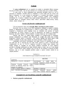 Prezenta Firmelor Multinationale in Romania - Aspecte in Plan Economic si in Planul Raportarii Financiare - Pagina 4